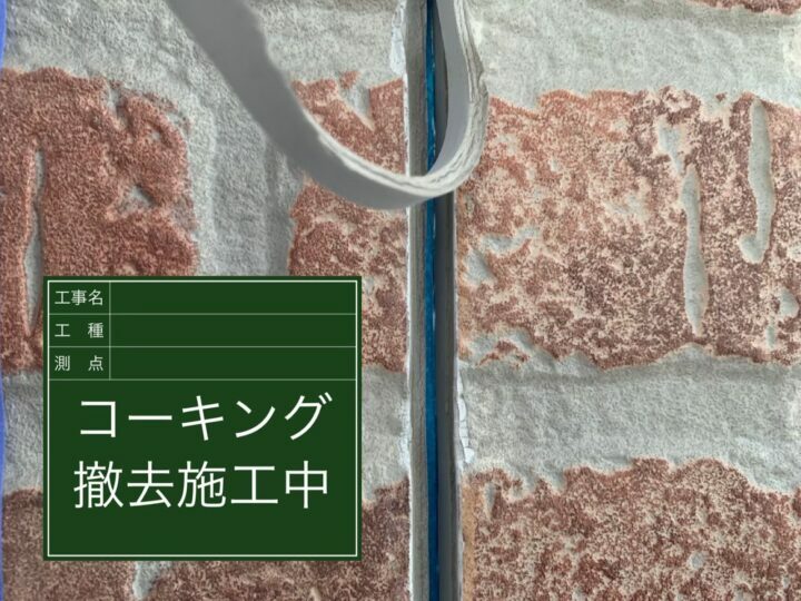 撤去
