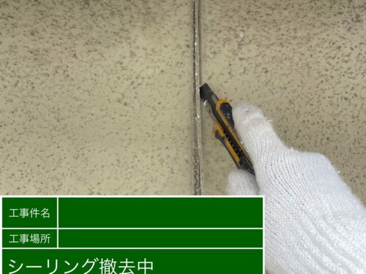 撤去