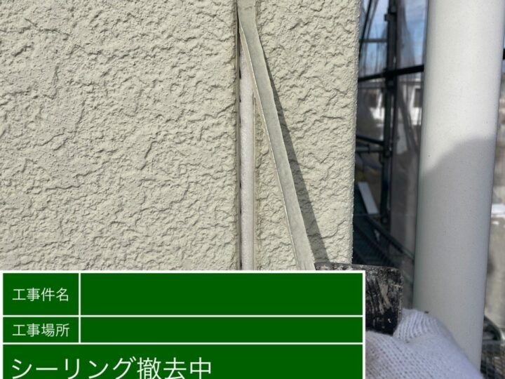 撤去