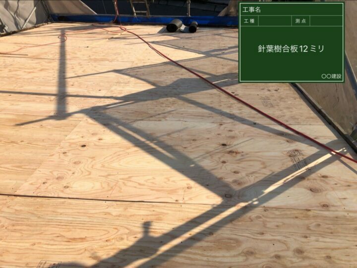 針葉樹合板