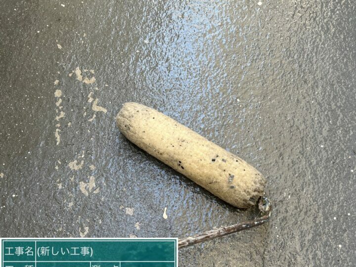 プライマー